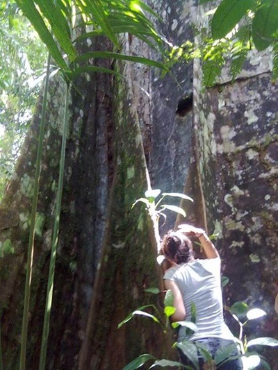 Sentier d'Aventure