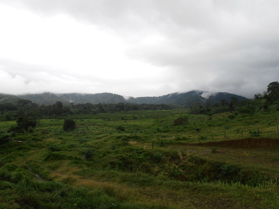 Porcherie