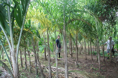 Finca Biodiversa Rancho Verde