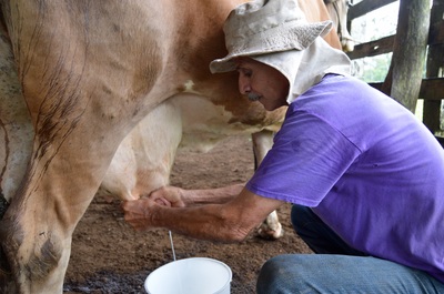 Laiterie « Conservando Huellas »