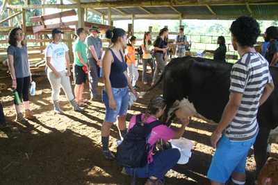Laiterie « Conservando Huellas »