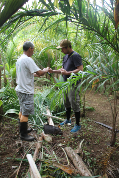 Finca Biodiversa Rancho Verde