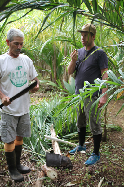 Finca Biodiversa Rancho Verde
