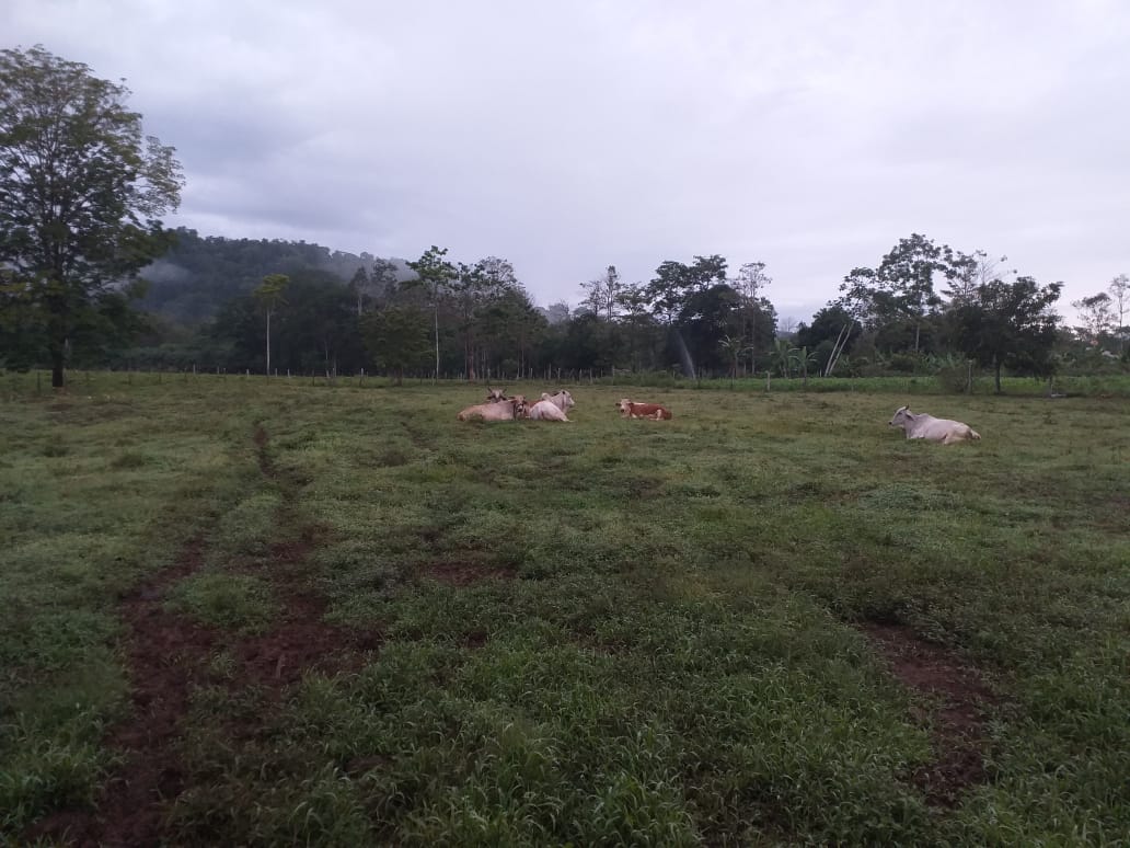 Laiterie « Conservando Huellas »