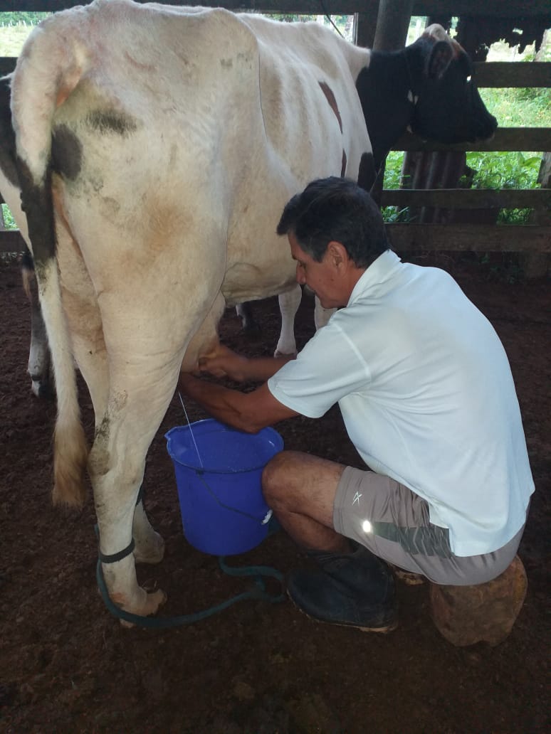 Laiterie « Conservando Huellas »