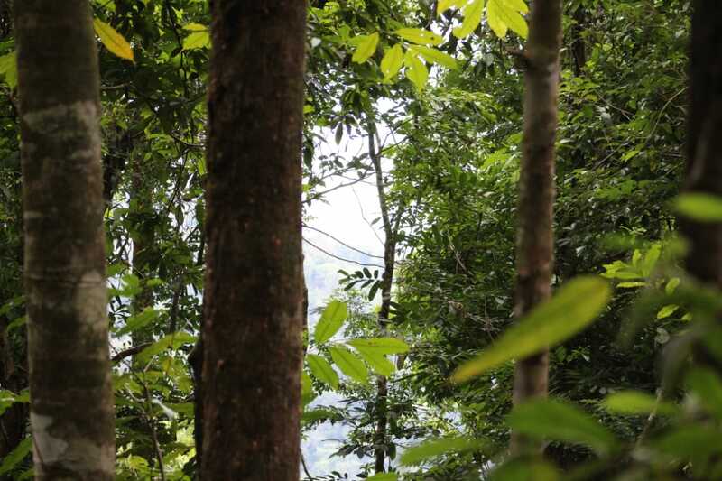 Tour La Montagne Dorée