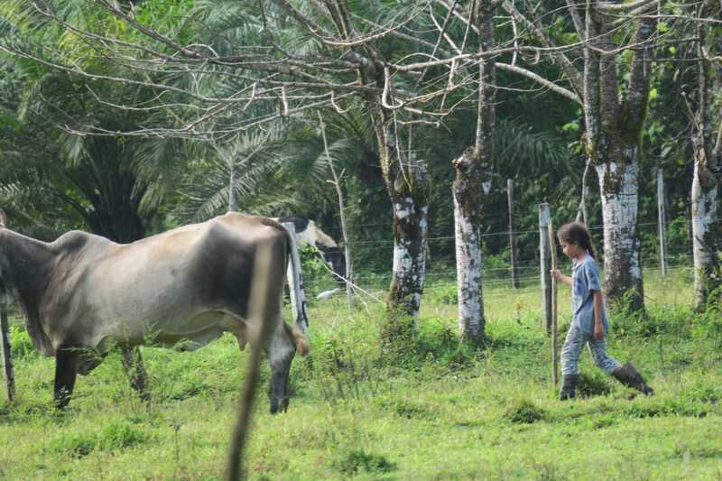 Laiterie « Conservando Huellas »